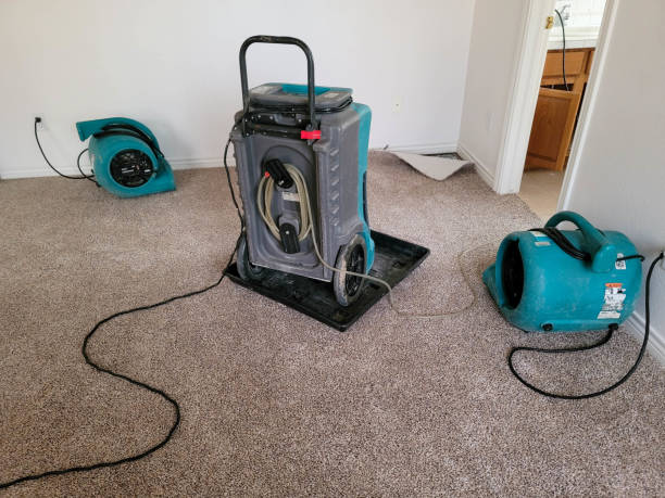 Best Water damage restoration services  in Gardere, LA