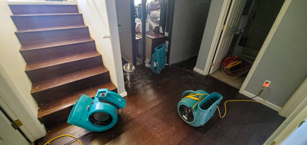 Best 24/7 water damage repair  in Gardere, LA