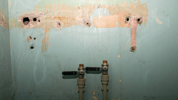 Best Carpet water damage restoration  in Gardere, LA