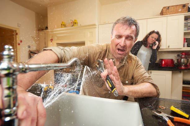 Best Flooded house restoration  in Gardere, LA